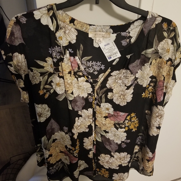 misia curvy clothing